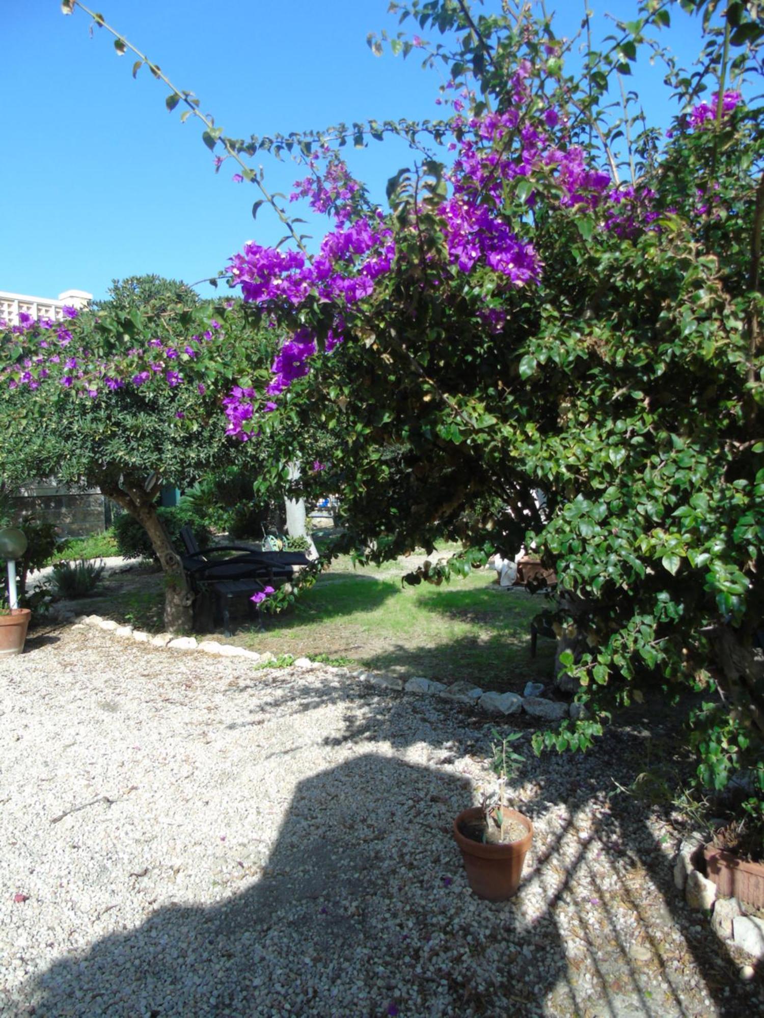 Villino Vanzetti 1930 Bed & Breakfast Cagliari Exterior photo